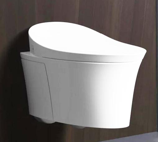 Wall Hung Smart WC valmistaja